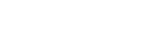 Fermisio